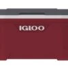 IGLOO Latitude 52QT Cool Box Red -Default Template 2 k0f2e951baeacf3928ea847c824c4b8f0