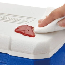 Coleman Performance 5QT Personal Cooler 11 Coleman Performance 5QT Personal Cooler -Default Template 2 k46f35c6c2c6dd2c6e9c46849a7f097f7