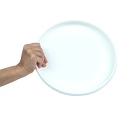 Plastic Ultimate Disc - Surf Illustration -Default Template 2 k6abadd68bd21e02f4eeb8232e0eaab0c