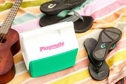 IGLOO Retro Playmate Mini Cooler -Default Template 2 ka49bd56894be72aab5790dba052aa75f
