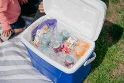 IGLOO Laguna 28QT Cool Box Red 20 IGLOO Laguna 28QT Cool Box Red -Default Template 2 kb309529a331bee3c9613a50999a7df51