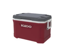 IGLOO Latitude 52QT Cool Box Red 15 IGLOO Latitude 52QT Cool Box Red -Default Template 2 kd151df04d57c9fc7ca9aef084985ced5
